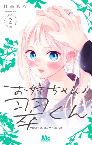 お姉ちゃんの翠くん 2