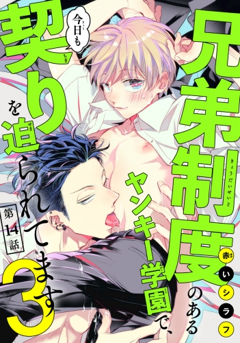 兄弟制度のあるヤンキー学園で、今日も契りを迫られてます #14
