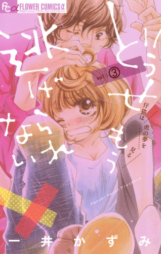 どうせもう逃げられない 3巻