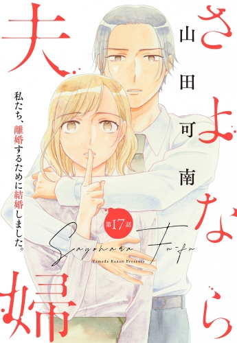 【単話売】さよなら夫婦 17