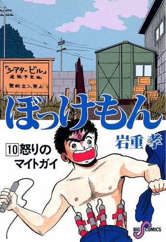 ぼっけもん 10巻