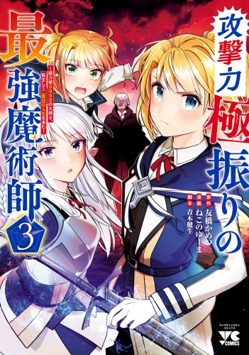 攻撃力極振りの最強魔術師～筋力値9999の大剣士、転生して二度目の人生を歩む～ 3巻