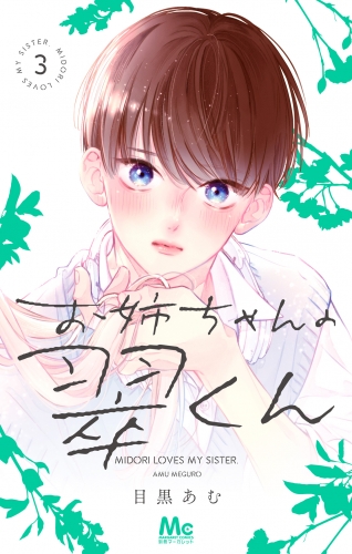 お姉ちゃんの翠くん 3