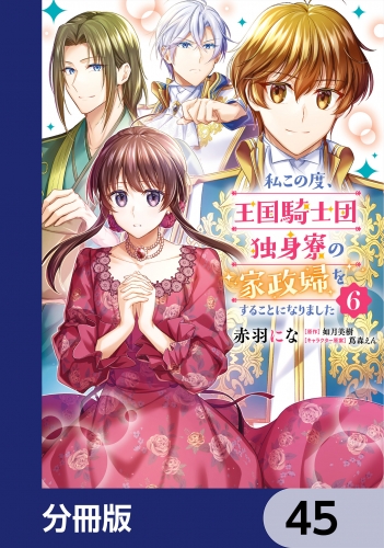 私この度、王国騎士団独身寮の家政婦をすることになりました【分冊版】　45