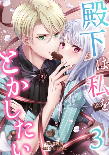 殿下は私をとかしたい 3巻