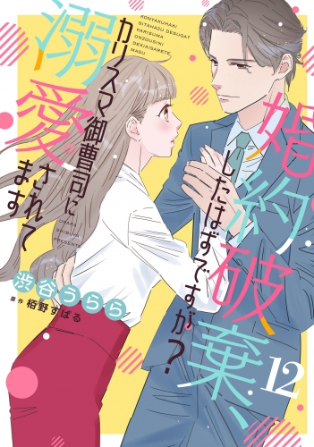 婚約破棄、したはずですが？～カリスマ御曹司に溺愛されてます～【分冊版】12話