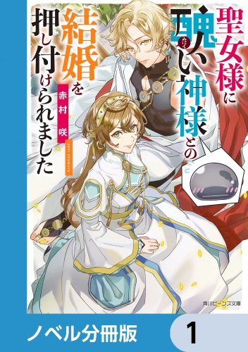 聖女様に醜い神様との結婚を押し付けられました【ノベル分冊版】　1