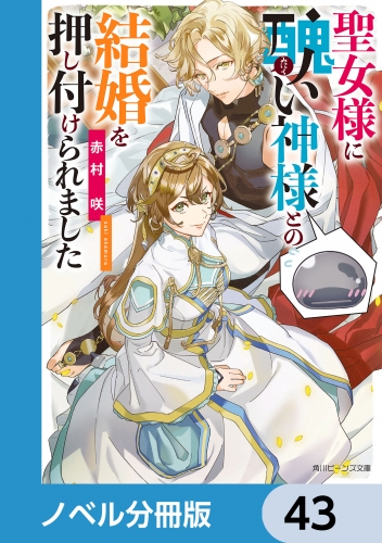 聖女様に醜い神様との結婚を押し付けられました【ノベル分冊版】　43
