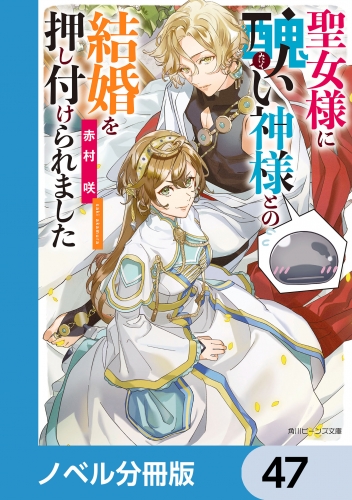 聖女様に醜い神様との結婚を押し付けられました【ノベル分冊版】　47
