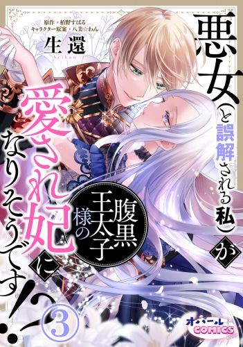 悪女（と誤解される私）が腹黒王太子様の愛され妃になりそうです!?３