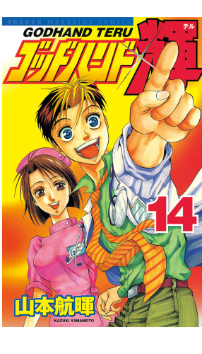 ゴッドハンド輝（14）