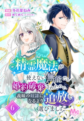精霊魔法が使えない無能だと婚約破棄されたので、義妹の奴隷になるより追放を選びました 6