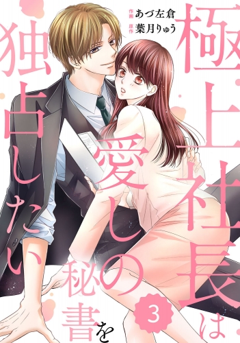 comic Berry's 極上社長は愛しの秘書を独占したい（分冊版）3話
