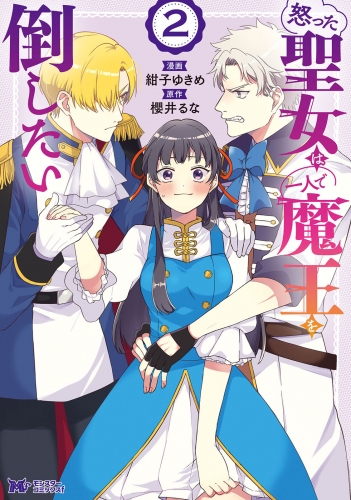 怒った聖女は一人で魔王を倒したい（コミック） 2巻