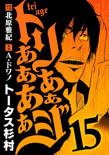 トリああああああジ 15巻