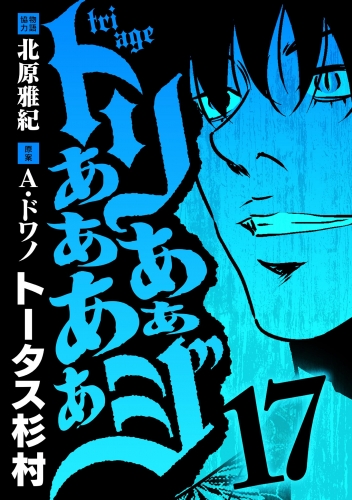 トリああああああジ 17巻