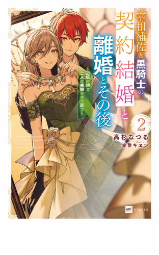宰相補佐と黒騎士の契約結婚と離婚とその後2 ～辺境の地で二人は夫婦をやり直す～