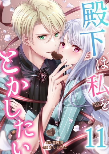 殿下は私をとかしたい 11巻