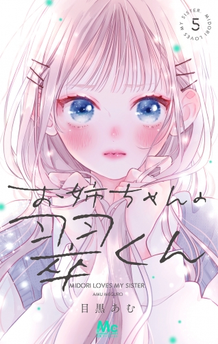 お姉ちゃんの翠くん 5