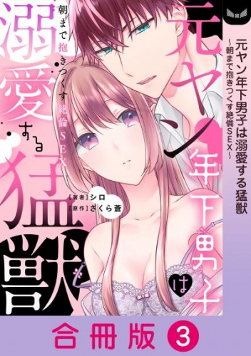 元ヤン年下男子は溺愛する猛獣～朝まで抱きつくす絶倫SEX～【合冊版】 3巻