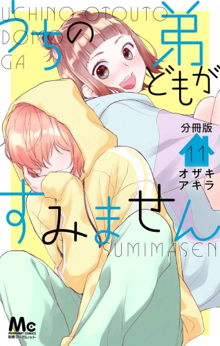 うちの弟どもがすみません 分冊版 11