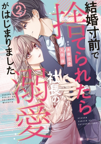 結婚寸前で捨てられたら社長の溺愛がはじまりました２