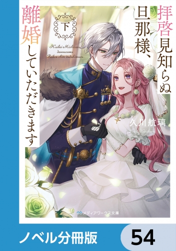 拝啓見知らぬ旦那様、離婚していただきます【ノベル分冊版】　54