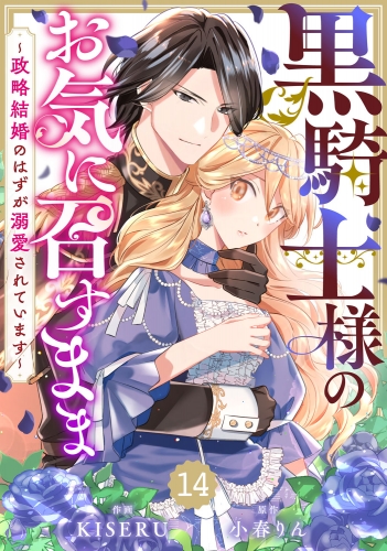 Berry's Fantasy 黒騎士様のお気に召すまま～政略結婚のはずが溺愛されています～（分冊版）14話