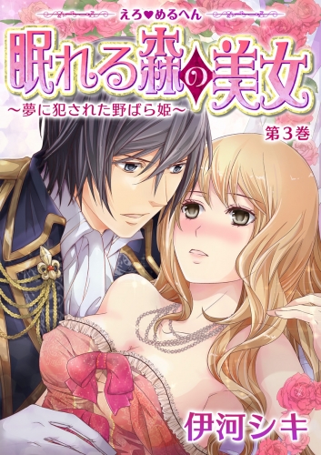 えろ◆めるへん 眠れる森の美女～夢に犯された野ばら姫～(３)