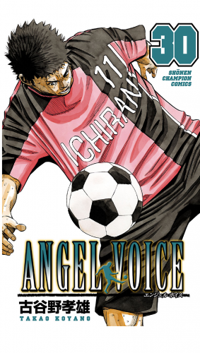ANGEL VOICE 30巻