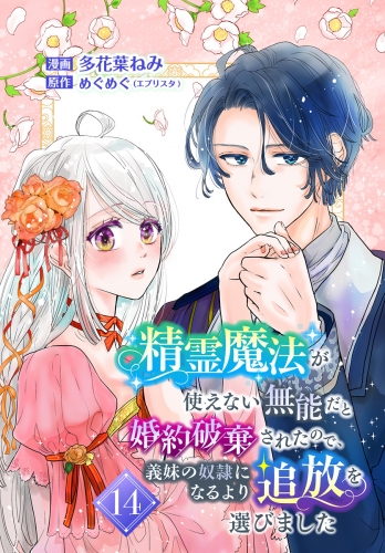 精霊魔法が使えない無能だと婚約破棄されたので、義妹の奴隷になるより追放を選びました 14