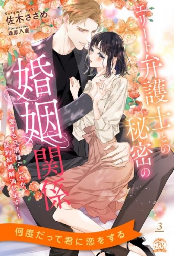 エリート弁護士との秘密の婚姻関係　～愛する旦那様でしたが、契約結婚解消します！～【３】