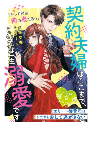 契約夫婦はここまで、この先は一生溺愛です～エリート御曹司はひたすら愛して逃がさない～【極甘婚シリーズ】【SS付き】