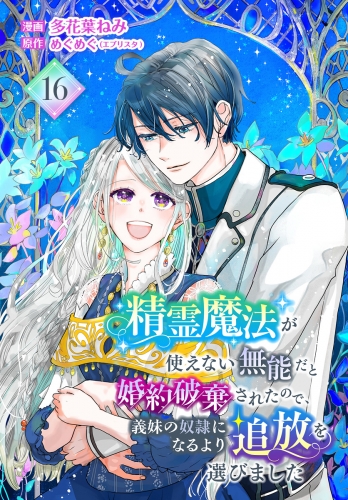 精霊魔法が使えない無能だと婚約破棄されたので、義妹の奴隷になるより追放を選びました 16