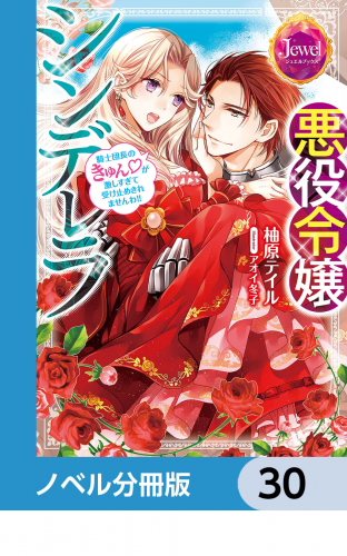 悪役令嬢シンデレラ【ノベル分冊版】　30