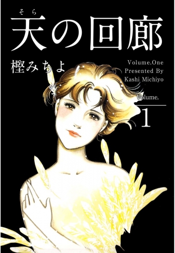 天の回廊(1)