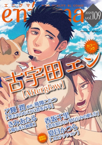 enigma vol.109