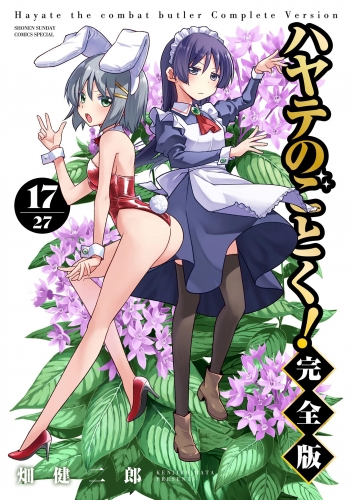 ハヤテのごとく！ 完全版 17巻