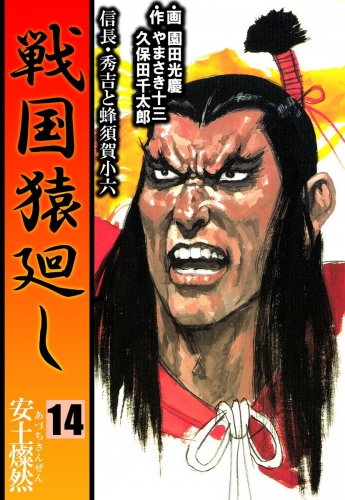 戦国猿廻し 信長・秀吉と蜂須賀小六(14)
