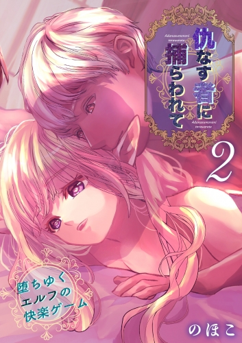 仇なす者に捕らわれて(2)～堕ちゆくエルフの快楽ゲーム～