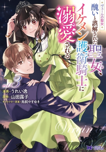 ヴェールの聖女 ～醜いと誤解された聖女、イケメン護衛騎士に溺愛される～（コミック） 3巻