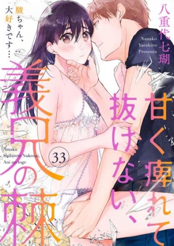 甘く痺れて抜けない、義兄の棘～駿ちゃん、大好きです…～33