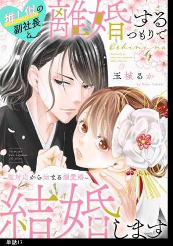 推し似の副社長と離婚するつもりで結婚します～塩対応から始まる溺愛婚～【単話】（17）