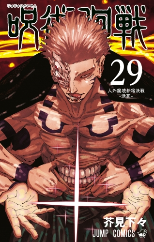呪術廻戦 29
