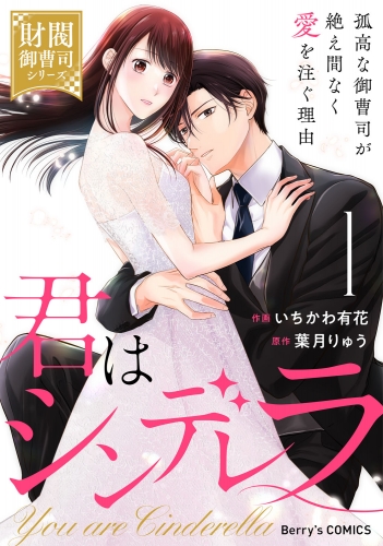 君はシンデレラ～孤高な御曹司が絶え間なく愛を注ぐ理由～【財閥御曹司シリーズ】1巻