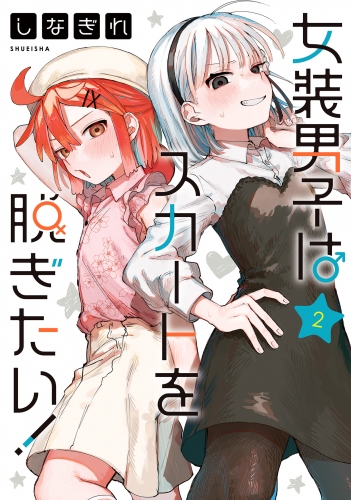 女装男子はスカートを脱ぎたい！ 2