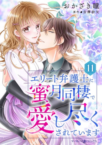 エリート弁護士に蜜月同棲で愛し尽くされています【分冊版】11話