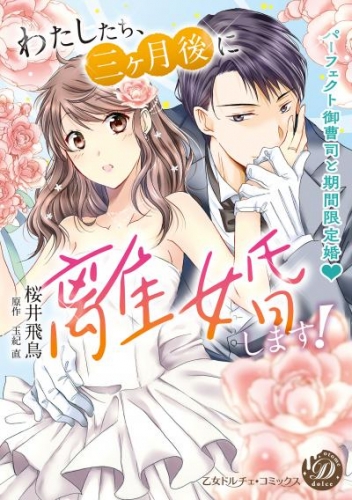 わたしたち、三ヶ月後に離婚します！～パーフェクト御曹司と期間限定婚～（全年齢版）3【タテヨミ】