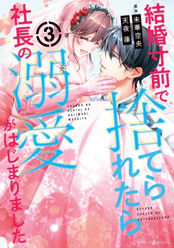 結婚寸前で捨てられたら社長の溺愛がはじまりました３