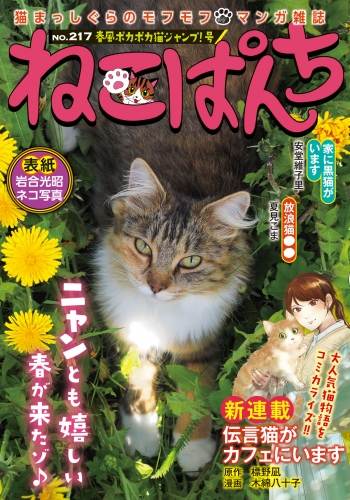 ねこぱんち No.217 春風ポカポカ猫ジャンプ！号